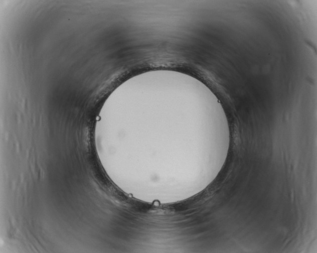 X0000102530211200808081100
