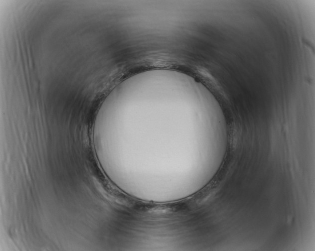 X0000102530213200808081100