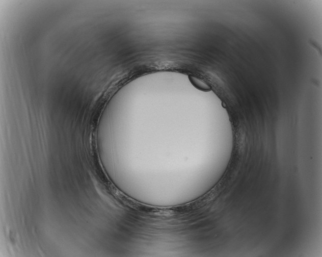 X0000102530214200808081100