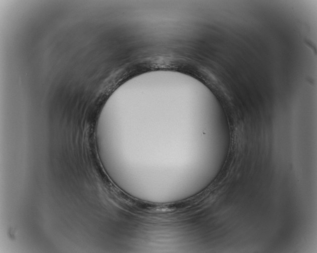X0000102530217200808081100