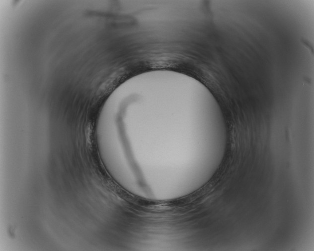 X0000102530219200808081100