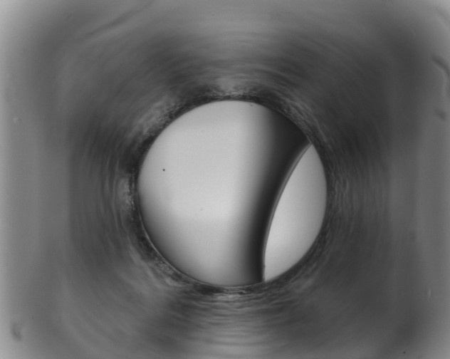 X0000102530220200808081100