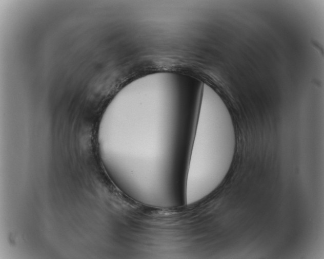 X0000102530221200808081100