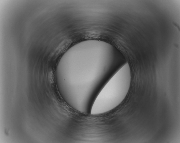 X0000102530224200808081100