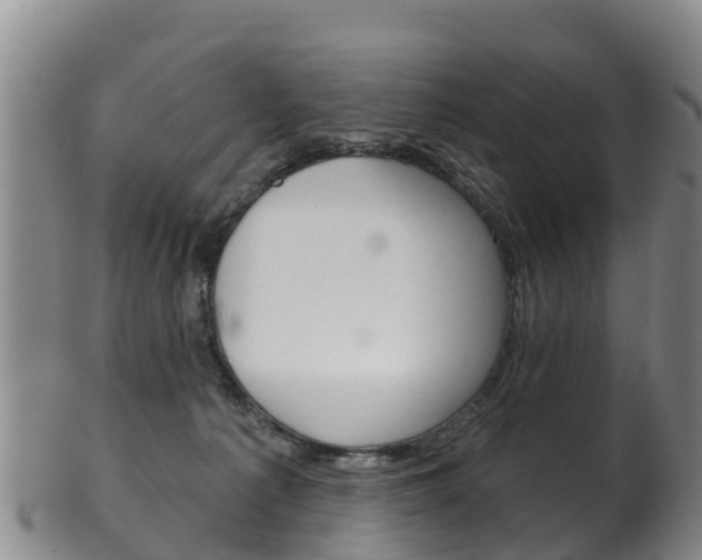 X0000102530225200808081100