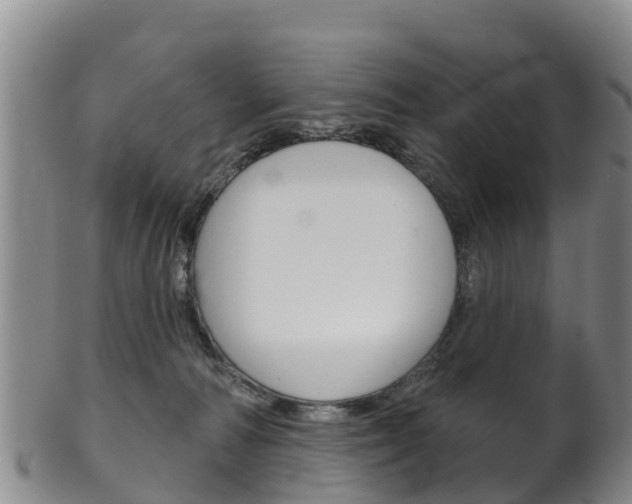 X0000102530226200808081100