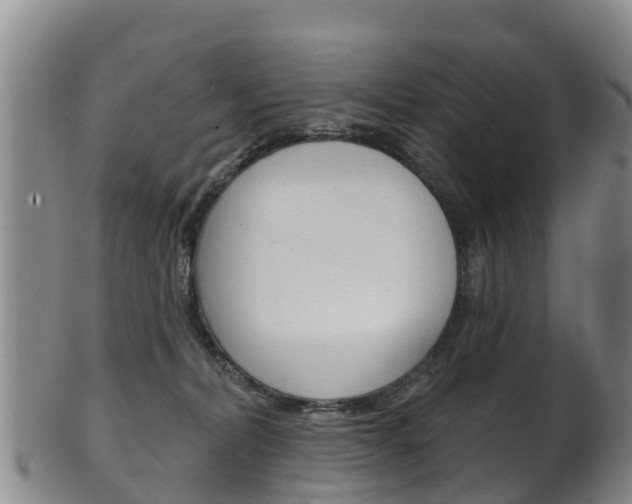 X0000102530228200808081100