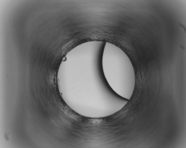X0000102530233200808081100
