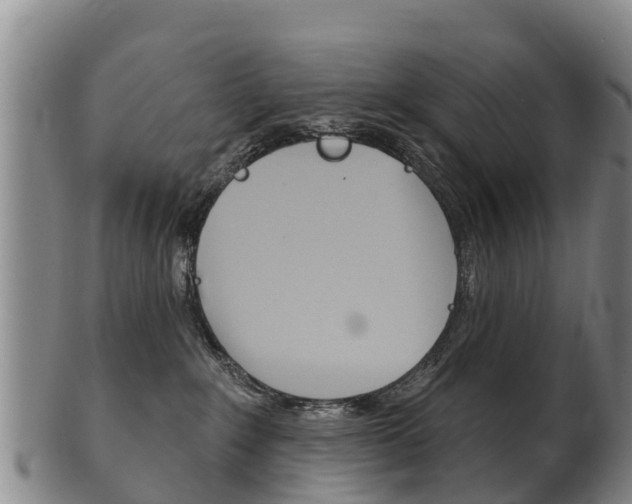 X0000102530235200808081100