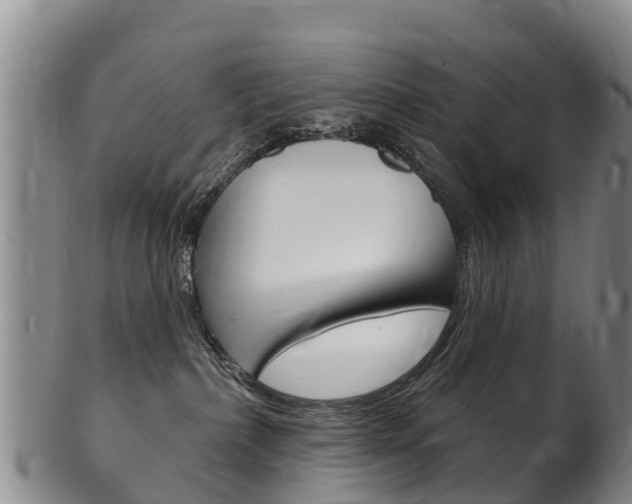 X0000102530236200808081100