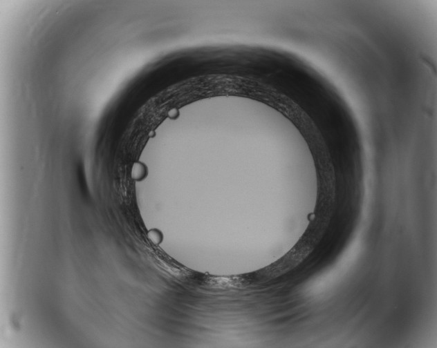 X0000102530239200808081100