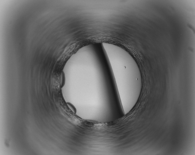 X0000102530240200808081100