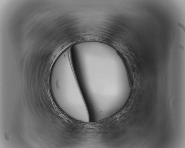 X0000102530241200808081059