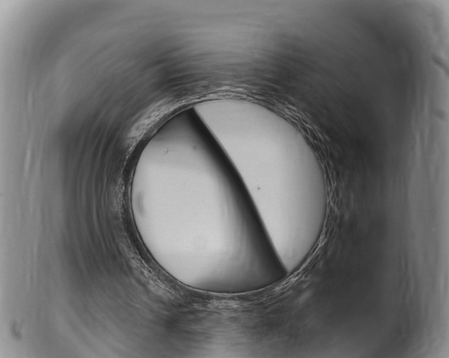 X0000102530242200808081059