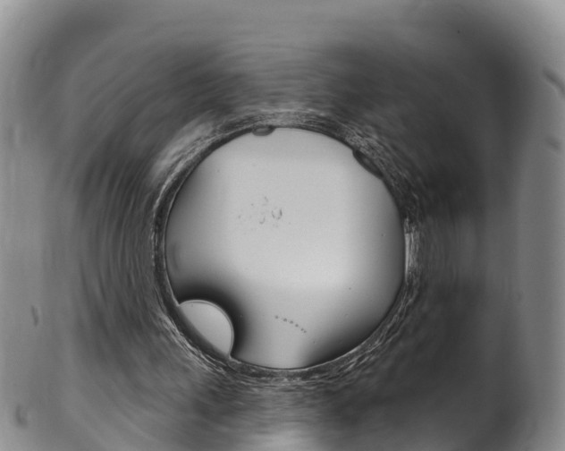 X0000102530243200808081059