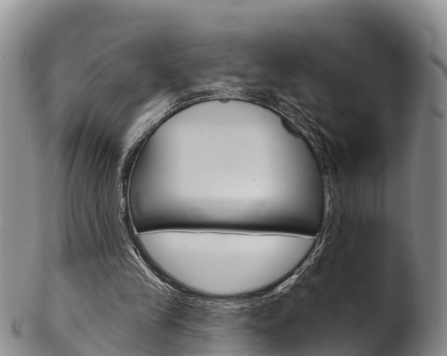 X0000102530245200808081059