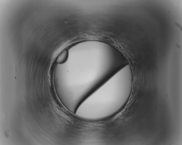 X0000102530246200808081059