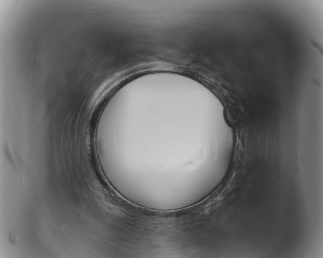 X0000102530247200808081059