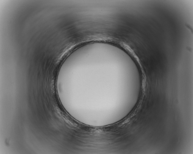 X0000102530249200808081059