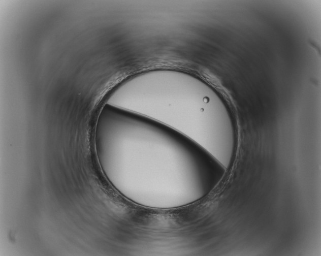 X0000102530250200808081059