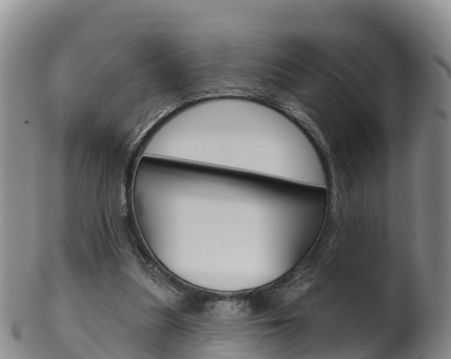 X0000102530251200808081059