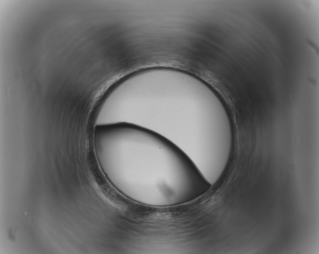 X0000102530252200808081059