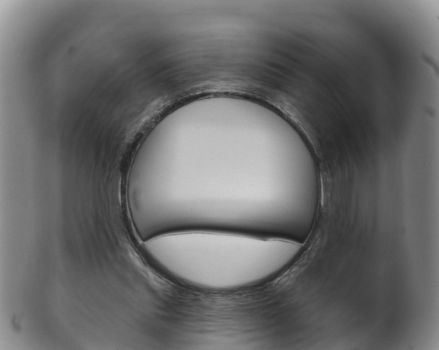 X0000102530253200808081059