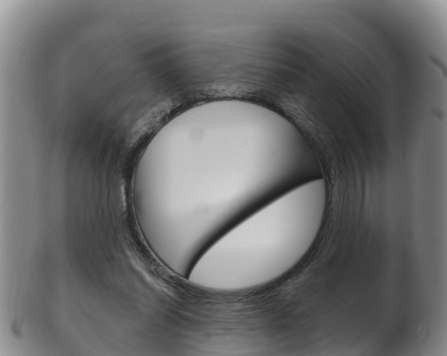 X0000102530254200808081059