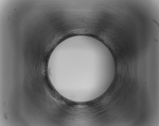 X0000102530255200808081059