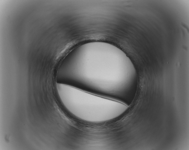 X0000102530256200808081059
