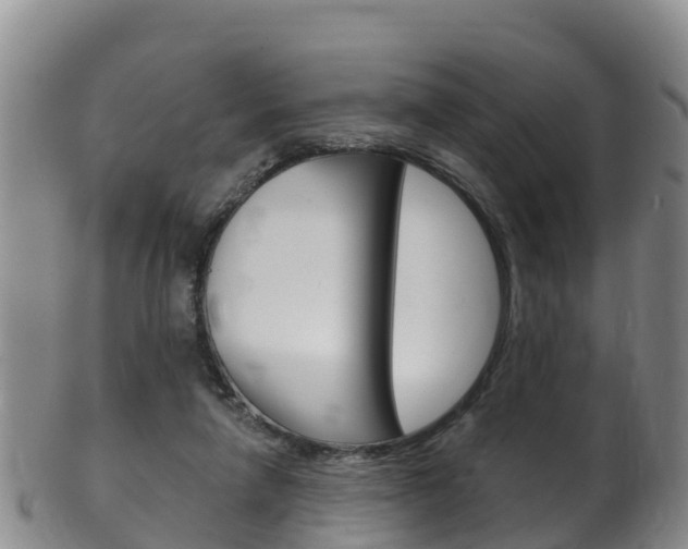 X0000102530258200808081059
