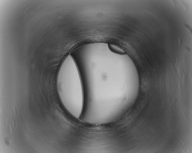 X0000102530259200808081059