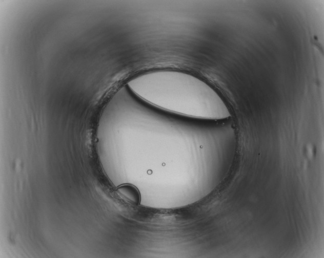 X0000102530260200808081100