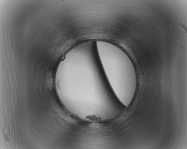 X0000102530261200808081100