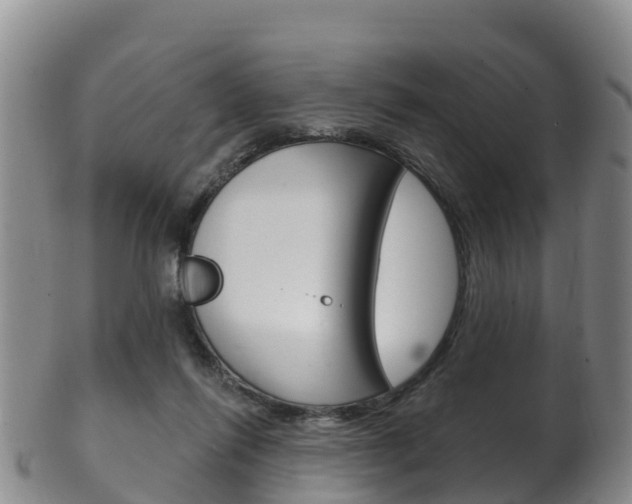 X0000102530262200808081100