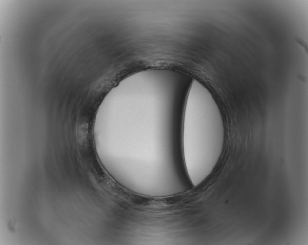 X0000102530263200808081100