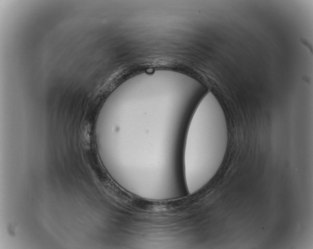 X0000102530264200808081100