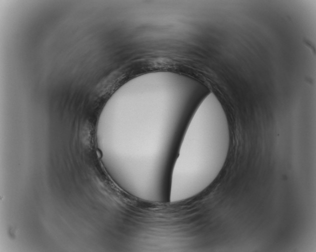 X0000102530266200808081100