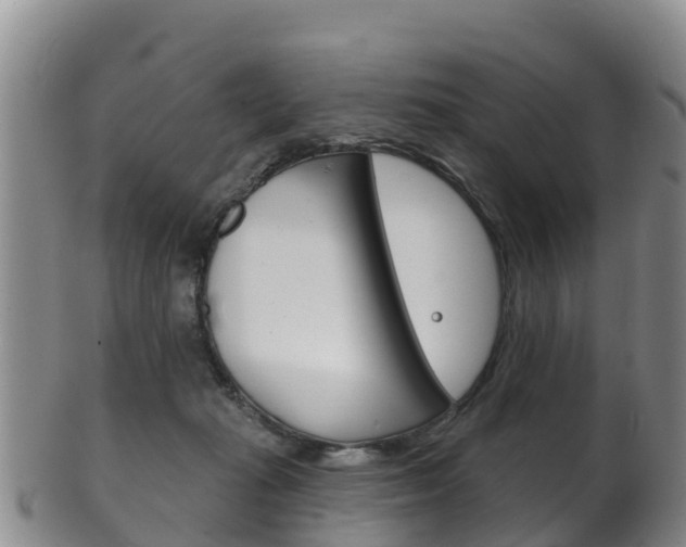 X0000102530269200808081100