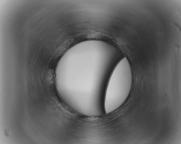 X0000102530273200808081100