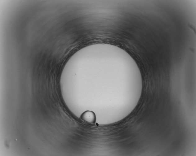 X0000102530276200808081100