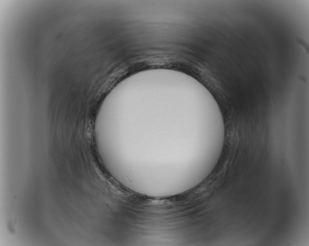 X0000102530277200808081100