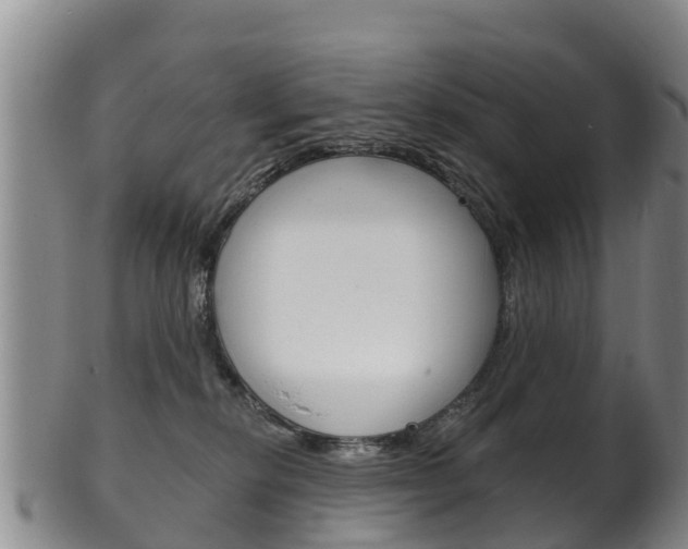 X0000102530278200808081100