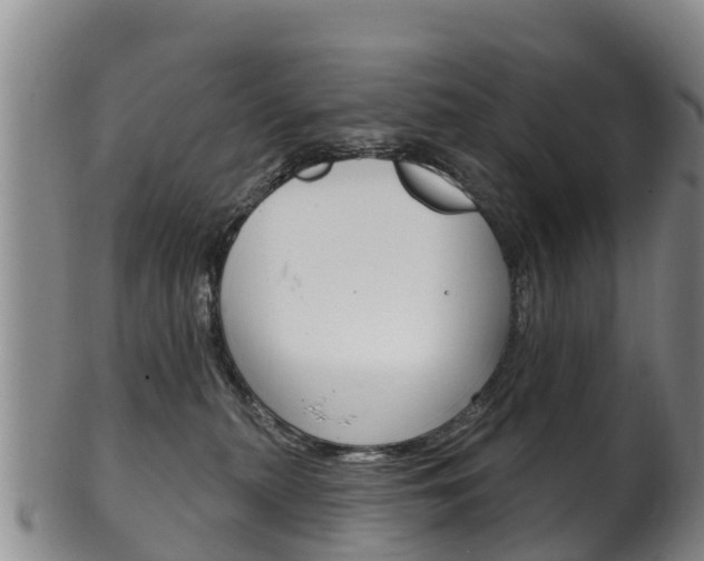 X0000102530279200808081100