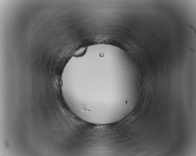 X0000102530280200808081100