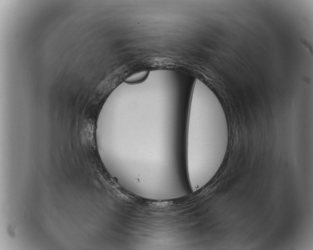 X0000102530281200808081100