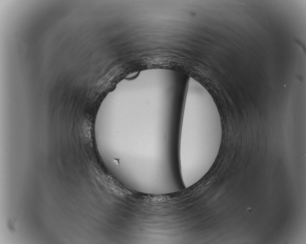 X0000102530282200808081100