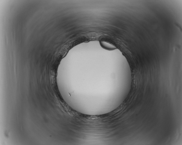 X0000102530283200808081100