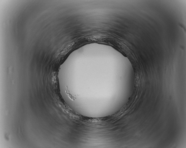 X0000102530284200808081100