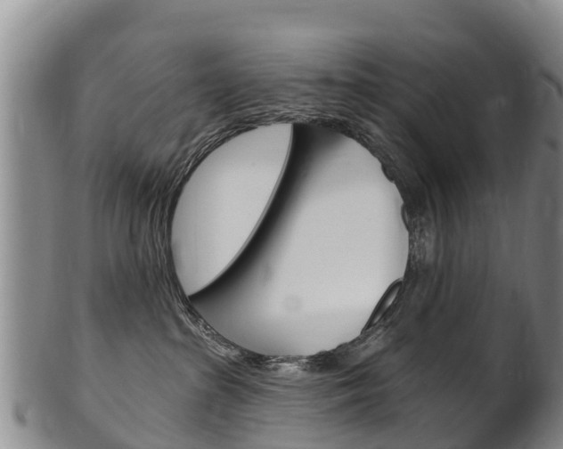 X0000102530285200808081100